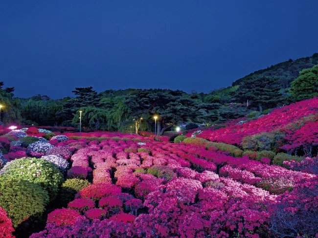 🏞️ 고무로야마 공원(코무로야마코엔) 이미지 8